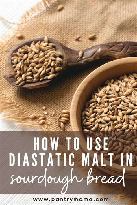 how to use diastatic malt powder.